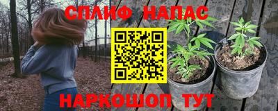 Альфа ПВП Краснодар