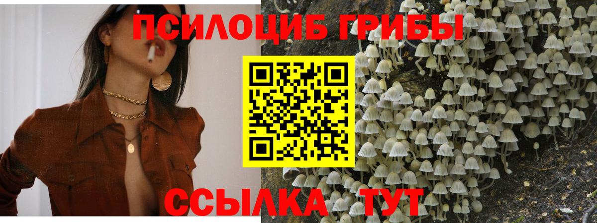 Галлюциногенные грибы MAGIC MUSHROOMS  Вход с VPN  что такое наркотик  Псилоцибиновые грибы мицелий  Когалым 